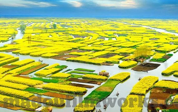 app软件免费下载糖心-轻松下载，甜蜜享受，探索糖心App的免费魅力