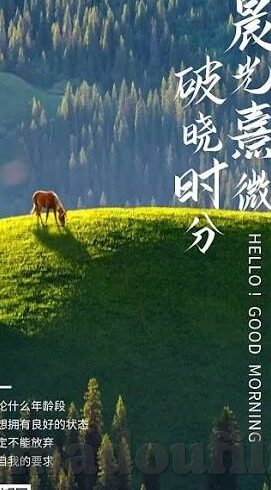 吴梦梦麻豆传媒-当代文化镜像，吴梦梦与麻豆传媒现象的多元解读